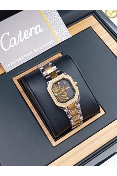 catera Women's watch that expresses authenticity, silver and gold-colored steel, black dial