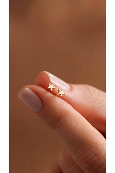 Wind Silver Minimal Çivili Yıldız Küpeler 925 Ayar