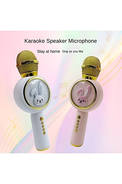 Generic Kids Microphone for Singing Wireless Bluetooth Karaoke Microphone, TF Card Speaker Multi-color Microphone