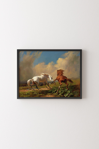 epiqart الخيول - الإطار الأسود