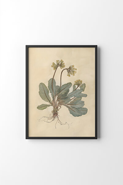 epiqart Spring Roots - Black Frame