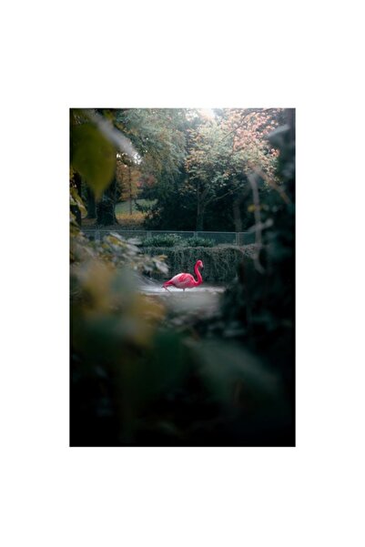 OEM Pictură pe pânză „Flamingo roz în pădurea de toamnă”