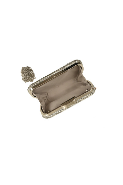 Generic Geantă de seară BG20279, Argento