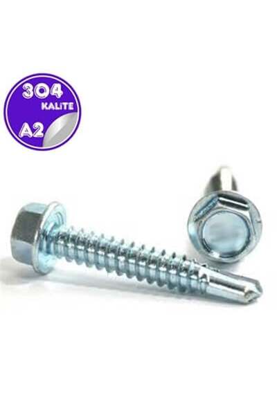 ERBAYS Trapez Çatı Vidası Pulsuz 4.8x19 m 100 ADET Matkap Uçlu Saç Akıllı Vid...