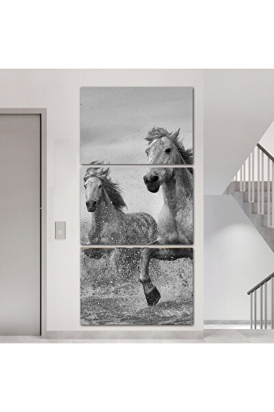 SND ثلاث لوحات قماشية بتصيم حصان مع برواز فضي مجوف