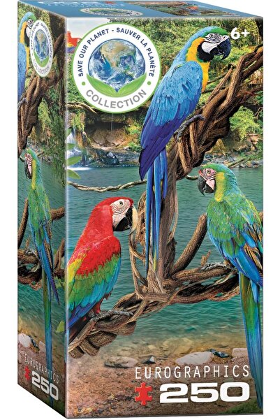 Eurographics Puzzle 250-Pcs Macaws 8251-5588
