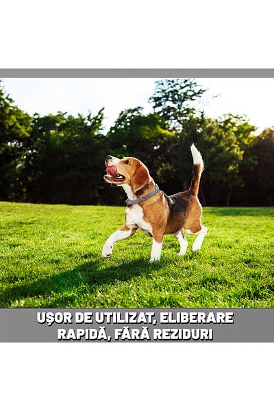 Fish & Paws Zgarda Fish & Paws ®, anti purici pentru caini, reglabila si respirabila Set 1 buc/2 buc.