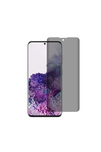 dalip Privacy Screen Protector for Samsung Galaxy S22 Plus 5G/S23 Plus, Tempered Glass, Black