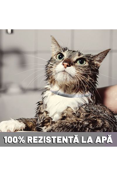 Fish & Paws Zgarda Fish & Paws ® anti purici pentru pisici, reglabila si respirabila, 1 buc