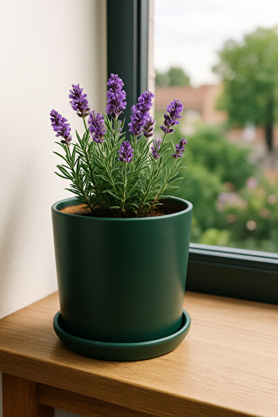 Evdek Tabaklı Haki Yeşil Silindirik Çömlek Saksı 15x15 Cm