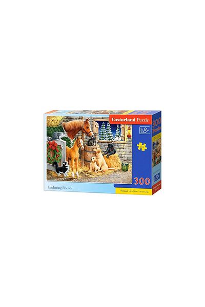 Castorland Puzzle - Gathering Friends, 300 piese