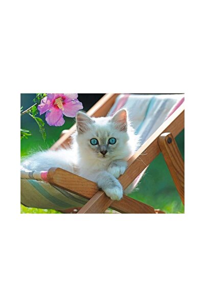 RAVENSBURGER Παζλ 200 κομμάτια - Λευκό Γατάκι