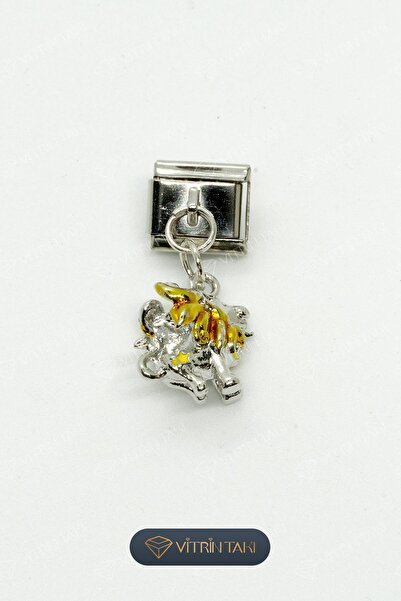 Çelik Aslan Burç Gümüş Renk İtalyan Bileklik Charm