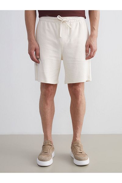 LC Waikiki Ανδρικό σορτς Standard Fit