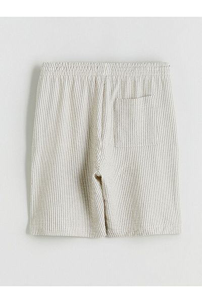 LC Waikiki Ανδρικό σορτς Dobby Standard Fit