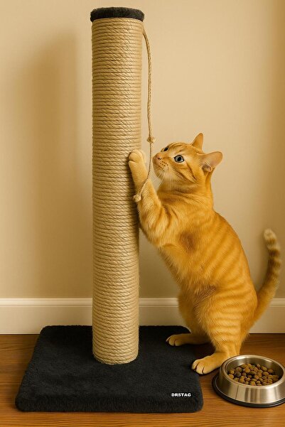DRSTAG 51 cm Cat Scratching Board with Catnip