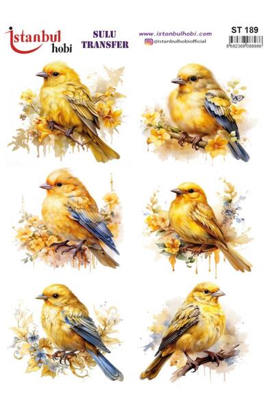 İstanbul Hobi ورق نقل مائي 25x35 سم ST-189
