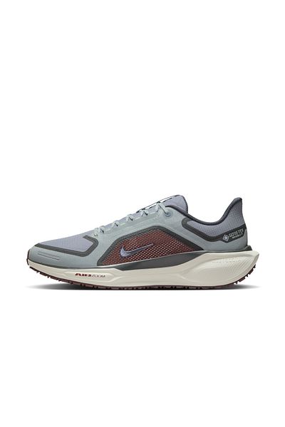 Nike Air Zm Pegasus 41 GTX sports shoes