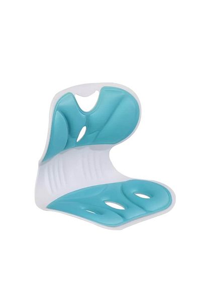 Flo Portable Ergonomic Chair Support, Posture Corrector, Pain Relief, Breathable, Size S, Green