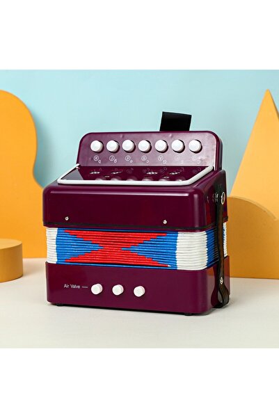 Flippy Acordeon pentru copii, Flippy, jucărie educativă acordeon, 7 butoane 2 bas, instrument muzical, 18x17x10