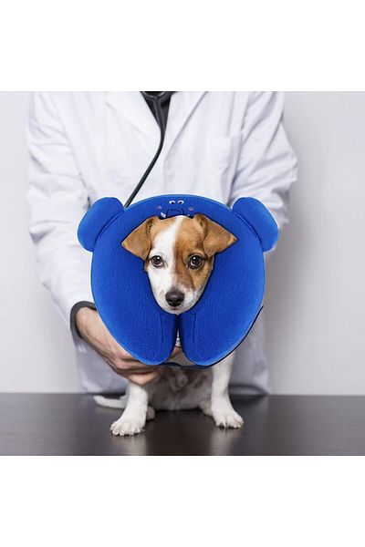 Petotw recovery collar for dogs and cats, inflatable, PVC/plush, blue, S