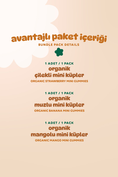 Humm Organic Organik Glutensiz Vegan Muzlu Çilekli ve Mangolu Mini Küpler Atıştırmalık Paketi - 3 adet (3 çeşit)