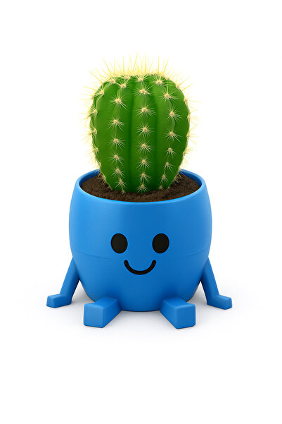 Lara Desing House Masa Üstü Saksı / Sevimli Dekoratif Obje / Neşeli Yüzlü Min...