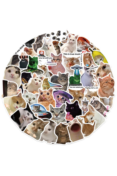 Choice 50 قطعة من ملصقات ميم القطط الشائعة من Creative Network، ملصقات جرافيت...