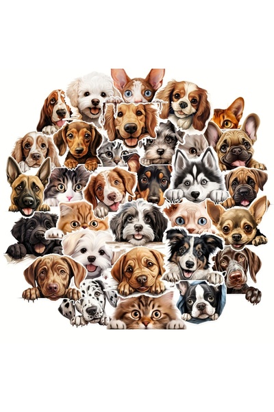 Choice 50 قطعة/حقيبة ملصقات قطط وكلاب ممتعة، مقاومة للماء، مناسبة لحقيبة السف...