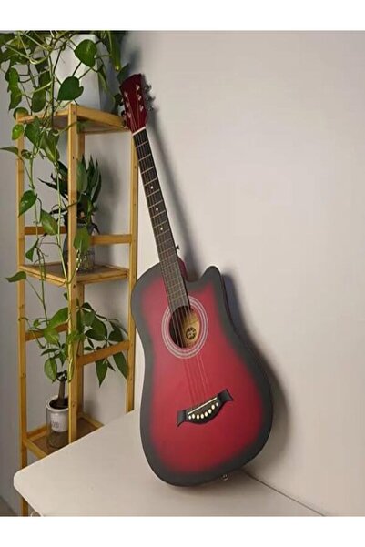 MegArya 38 Inch Acoustic Guitar With Bag Perfect for Beginners and Adults