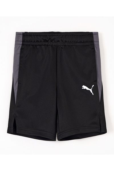 Puma Active Sports Shorts - Black
