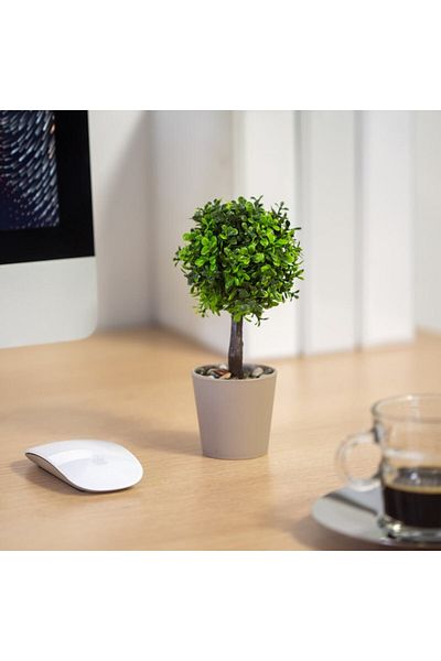 CLICK Artificial Potted Plants Decor 8 X 18 Cm