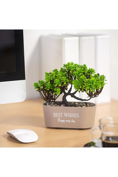 CLICK Decor Artificial Plant Bonsai 19 X 13 Cm 4 Types