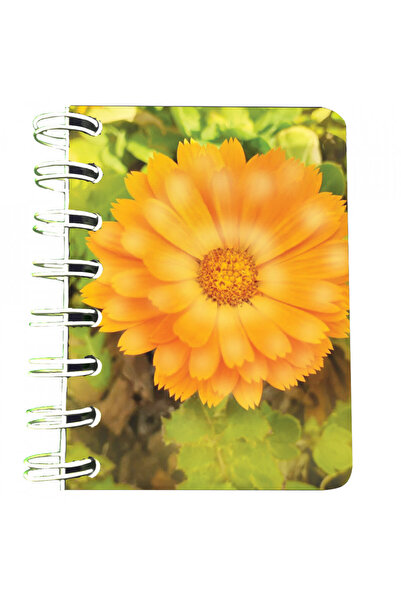 Editura Soapta stelelor Carnet cu spira Floare portocalie, 7 x 10 cm, 75 foi ...