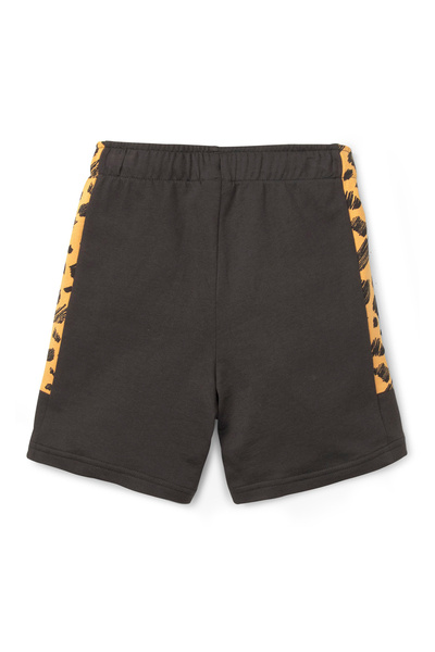 Puma ESS Mates Shorts - Grey