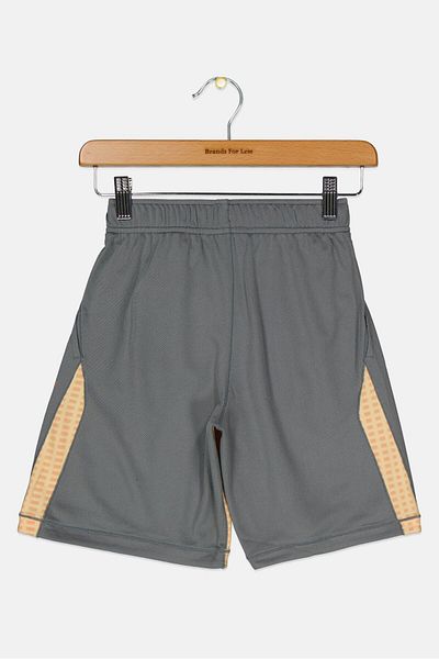 Nike Kids Boy Brand Logo Training Shorts, Grey Combo