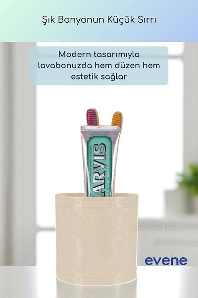 Evene Θήκη οδοντόβουρτσας Βάση οδοντόβουρτσας Βάση οδοντόβουρτσας Κρέμα Χρώμα Μοντέλο 82