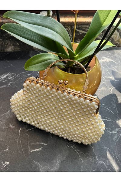 Fiori Pearl and Chain Women's Waist Shoulder Bag