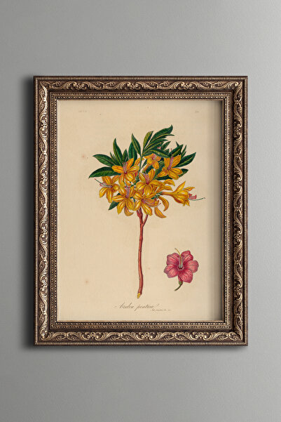 epiqart Azalea pontica - Vintage Desenli Çerçeve