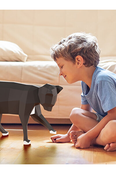 YSY AKROBAT ديكور حائط ثلاثي الأبعاد على شكل قطة أكروبات | نموذج لغرفة الأطفال والمراهقين | نشاط الهواية DIY