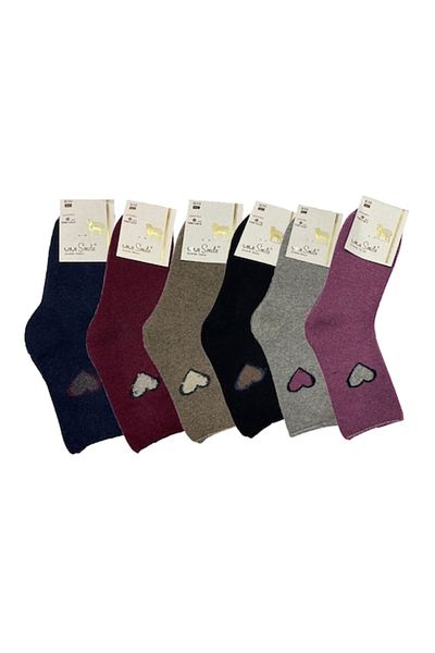 Liz Line Set de șase șosete de damă, Pro Circulation, fără elastic, multicolore, mărimea 37-41, lână - SD016