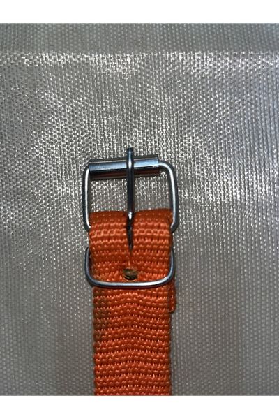 YILMAZ Blue Dog Collar