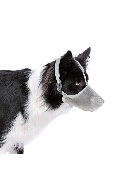 Choice كمامة كلب رمادية M، كمامات مغطاة بشبكة ناعمة للحماية من الطعم المسموم ...