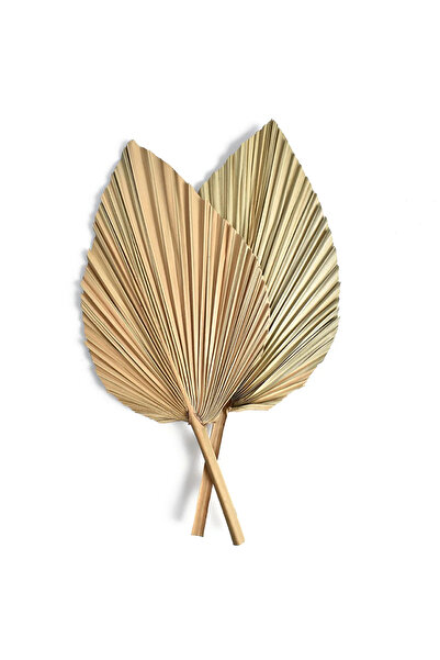 Choice قطعتان من أوراق مروحة النخيل، زهور مجففة، أوراق نخيل صغيرة بأشكال مختل...