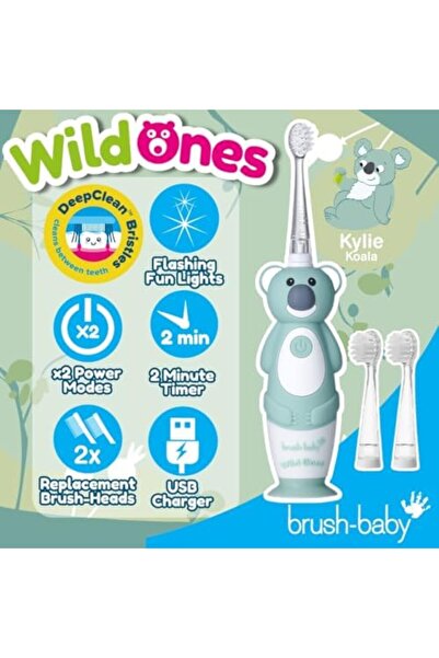 Brush-Baby فرشاة أسنان وايلد وينز™ الكهربائية القابلة لإعادة الشحن للأطفال - كوالا | أضواء وامضة، مدة الاستخدام دقيقتان