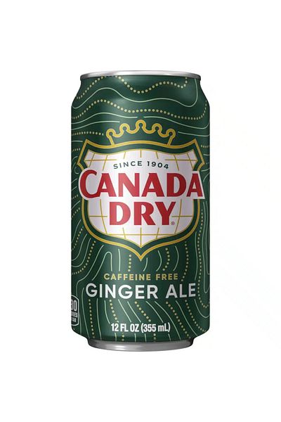 Canada Dry Ginger Ale Pack of 24 Canada Dry Ginger Ale Soft Drink (355ml)
