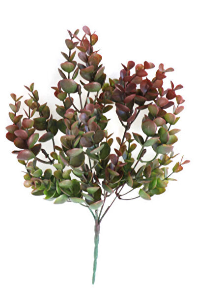 Yapay Çiçek Deposu نبات ديكور صناعي ذو أوراق سميكة باللون الأخضر-الأحمر