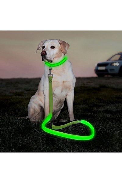 OEM Green LED leash, length 116 cm