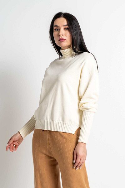 Nichii Women's Long Sleeve Solid Blouse with High Neck