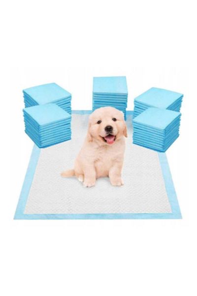 OEM Covorașe Igienice Absorbante pentru Animale de Companie – 40 buc, 60x60 cm
